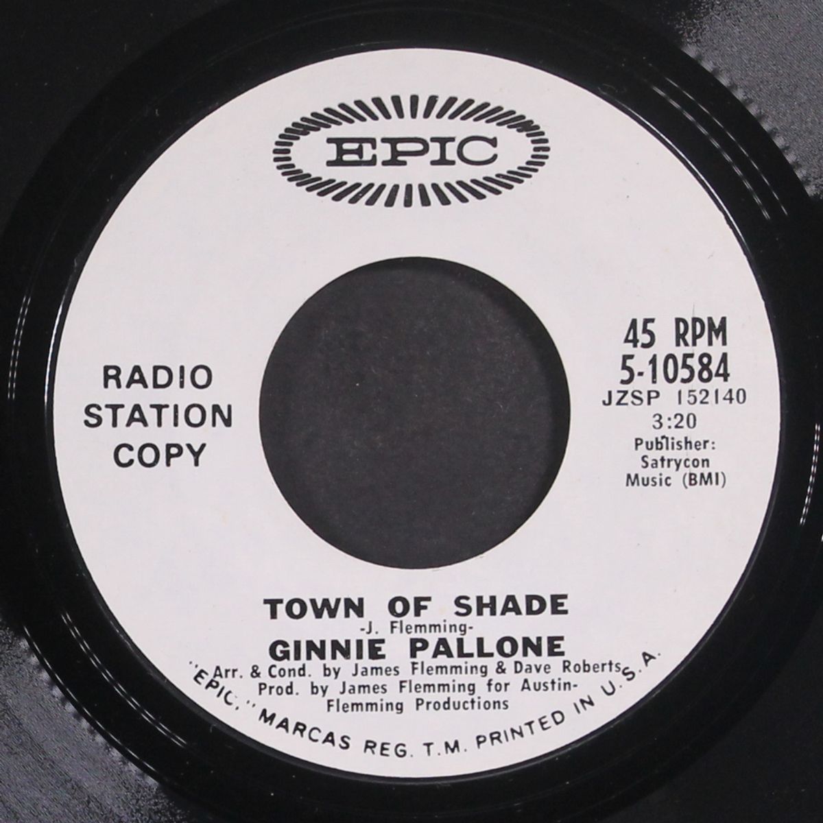 does it take a lot to care for me / town of shade by GINNIE PALLONE