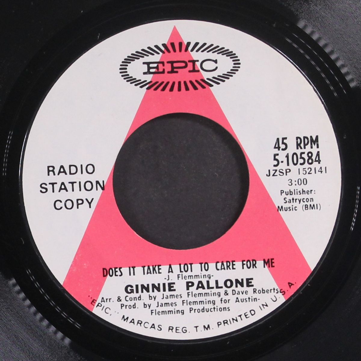 does it take a lot to care for me / town of shade by GINNIE PALLONE