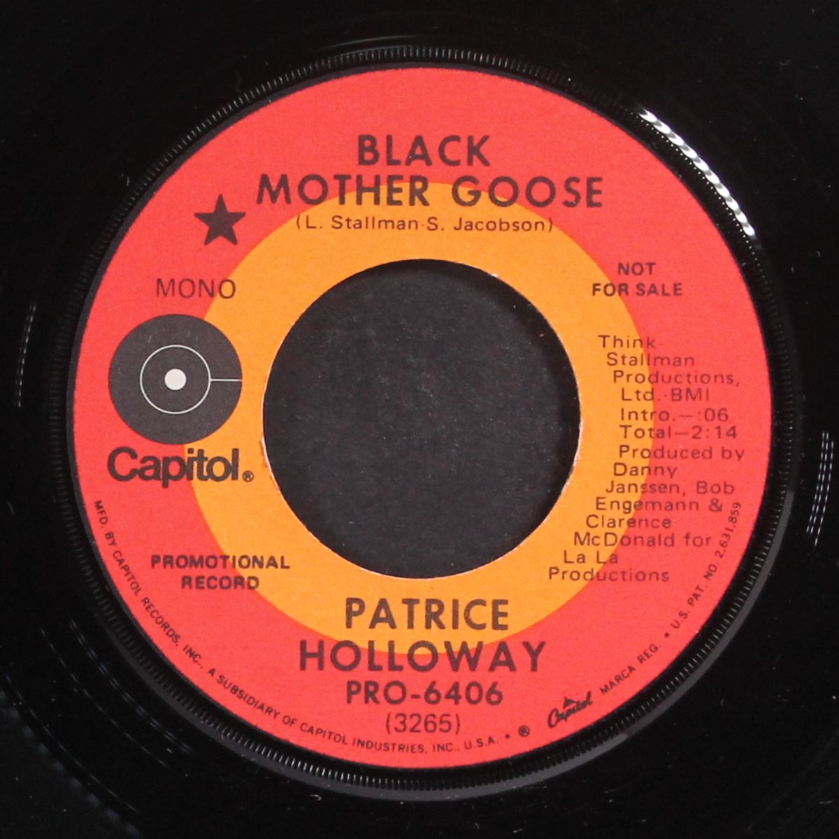 black mother goose / mono by PATRICE HOLLOWAY