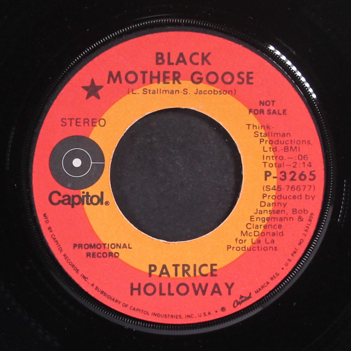 black mother goose / mono by PATRICE HOLLOWAY