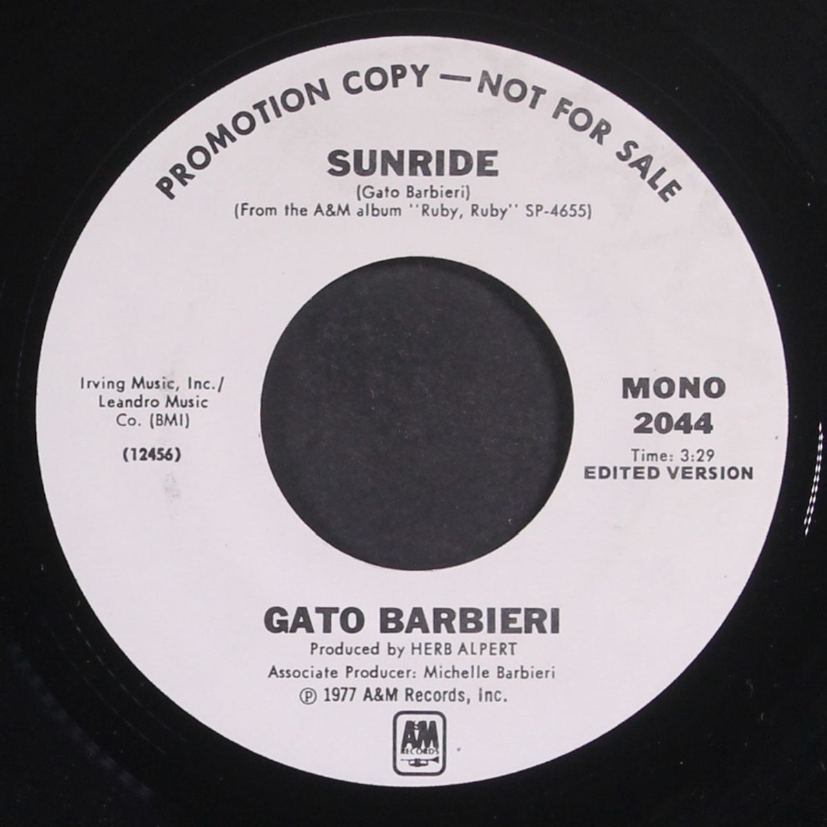 sunride / mono by GATO BARBIERI