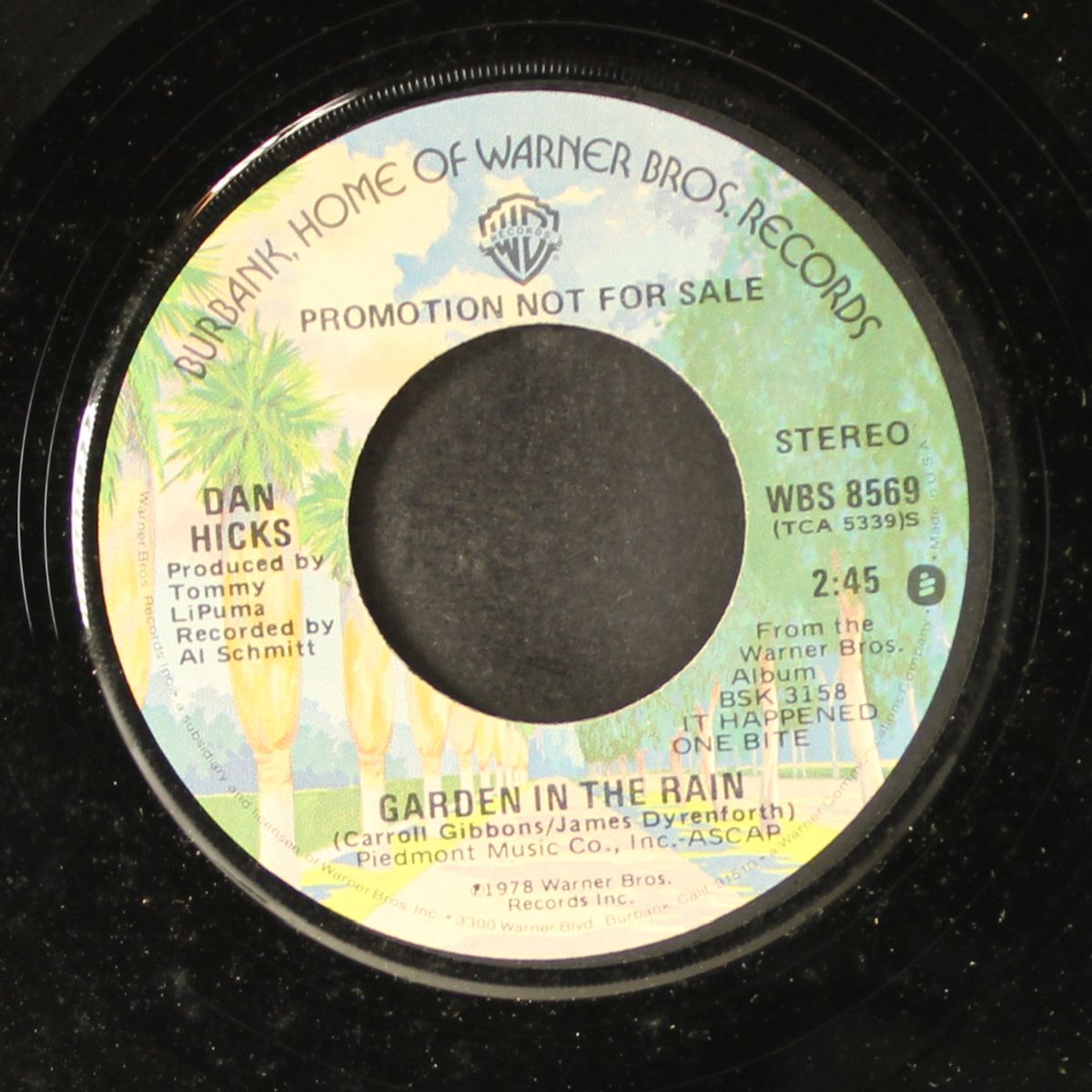garden in the rain / mono by DAN HICKS