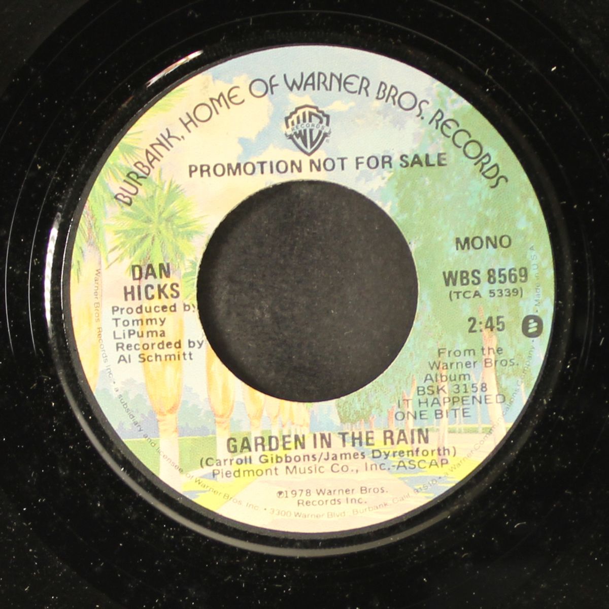 garden in the rain / mono by DAN HICKS