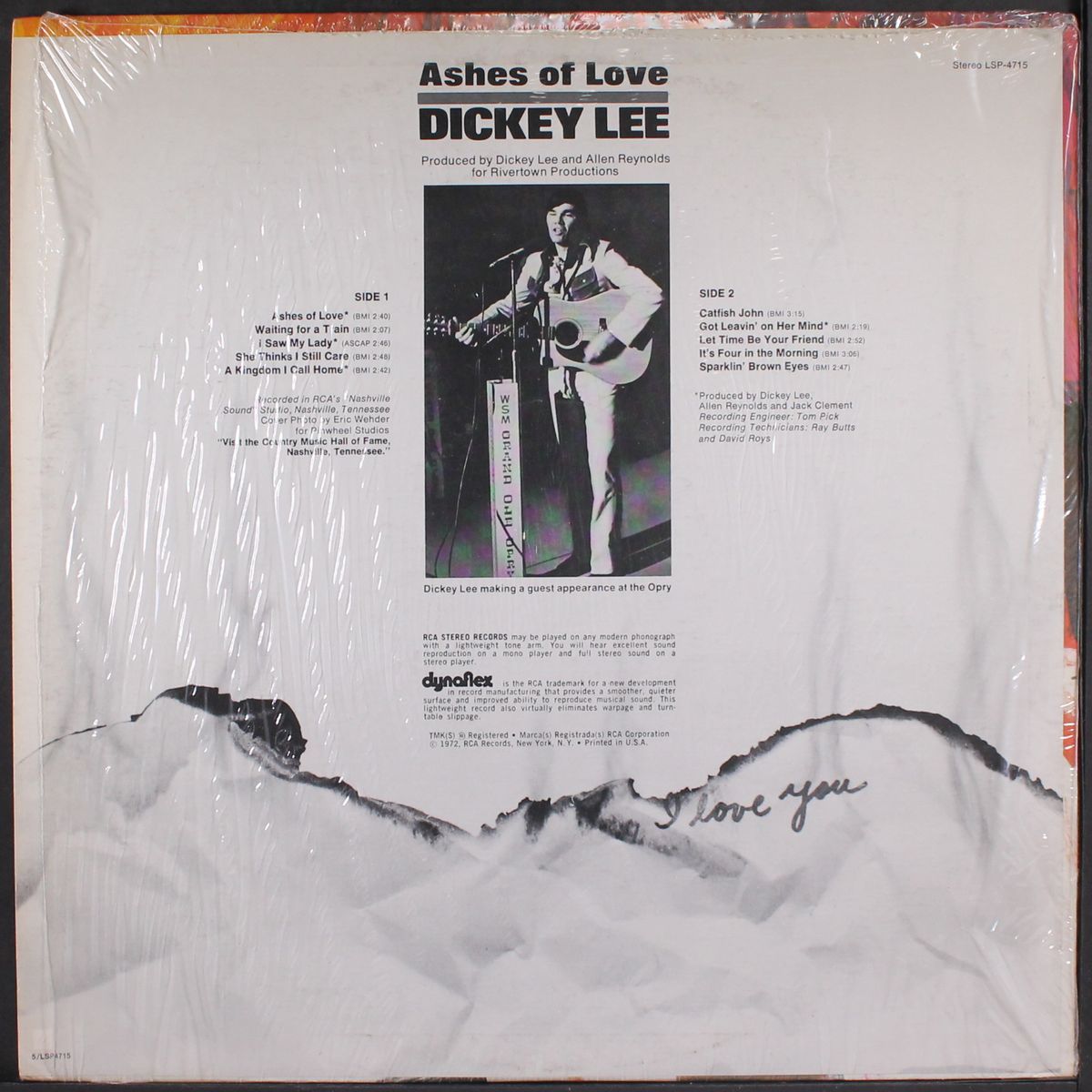ashes of love by DICKEY LEE