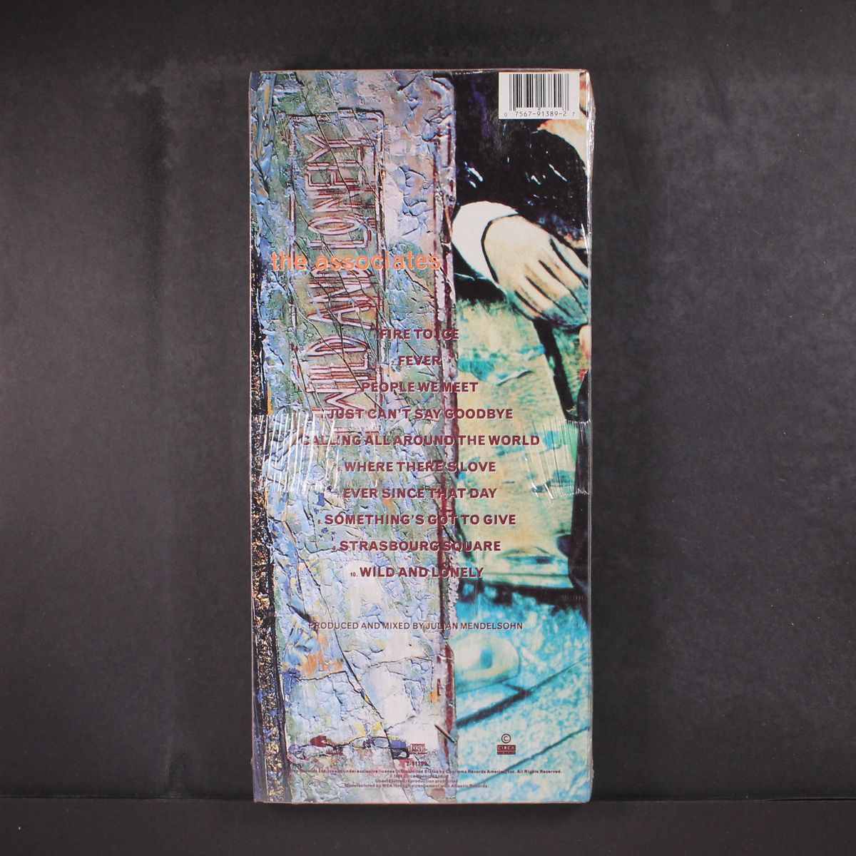 wild and lonely by ASSOCIATES