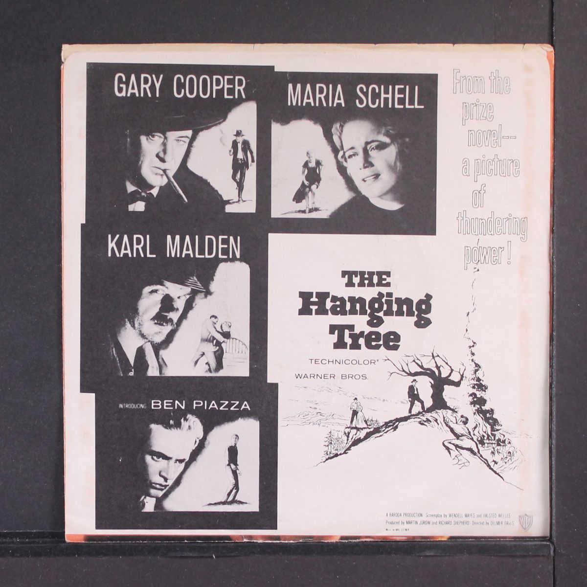 the hanging tree / the blues country style by MARTY ROBBINS