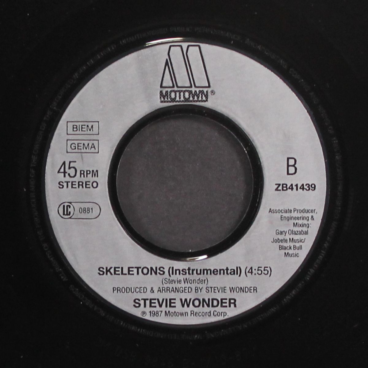 skeletons by STEVIE WONDER