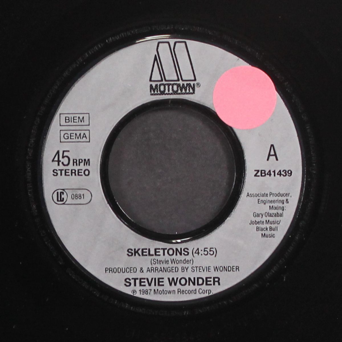 skeletons by STEVIE WONDER