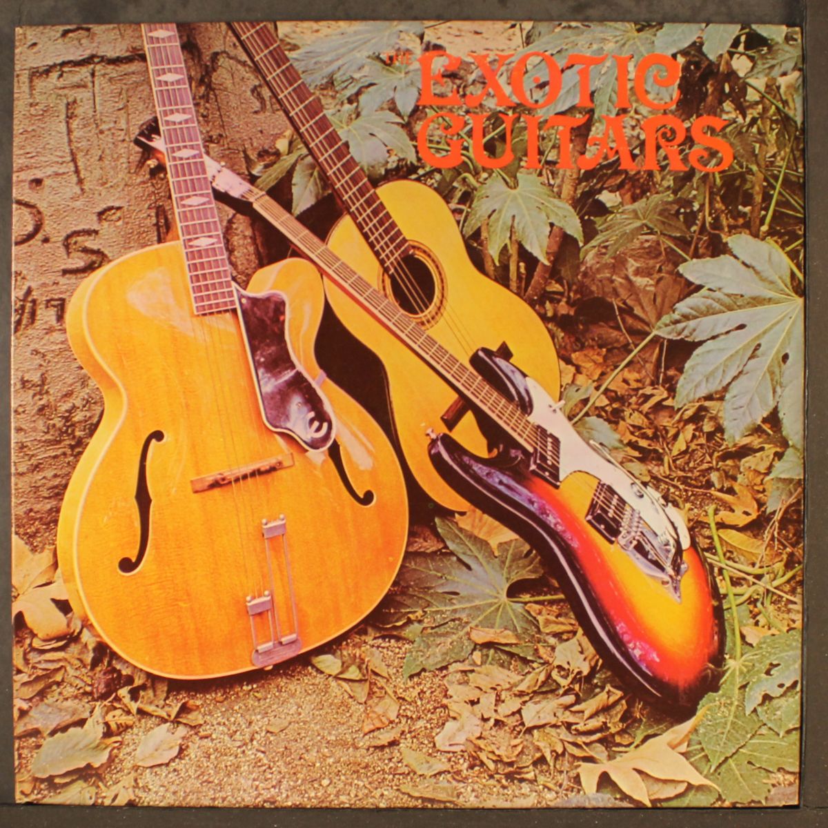 indian love call by EXOTIC GUITARS