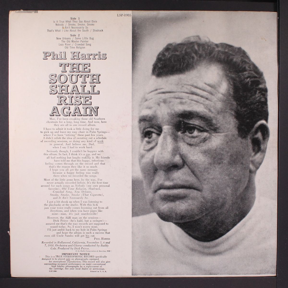 the south shall rise again by PHIL HARRIS
