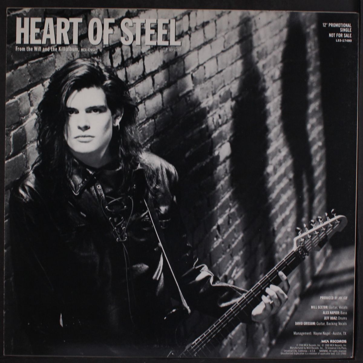 heart of steel (editt / lp vers.) by WILL & THE KILL