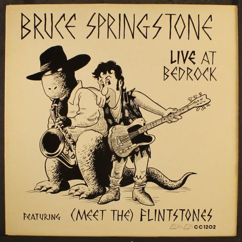 BRUCE SPRINGSTONE