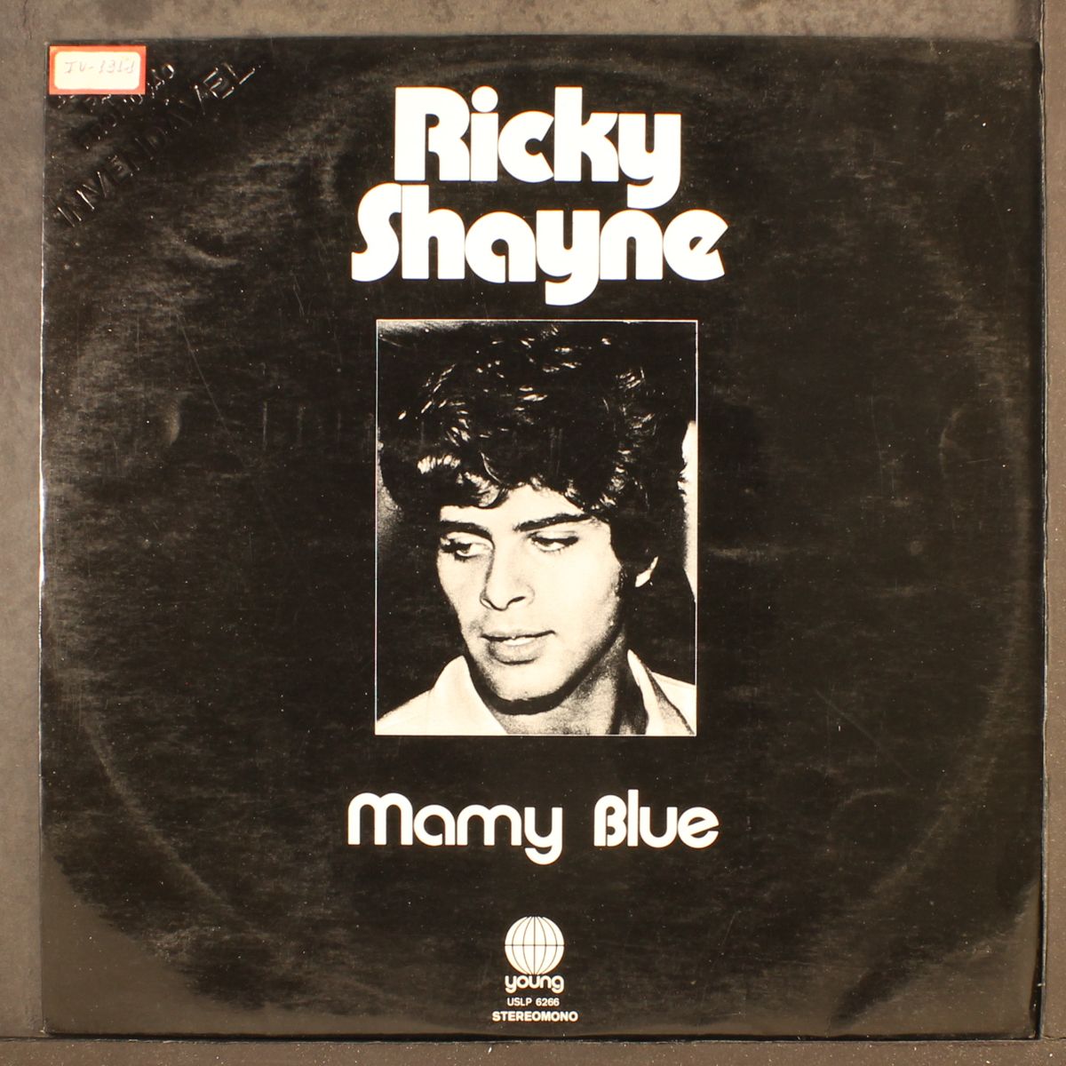 mamy blue by RICKY SHAYNE