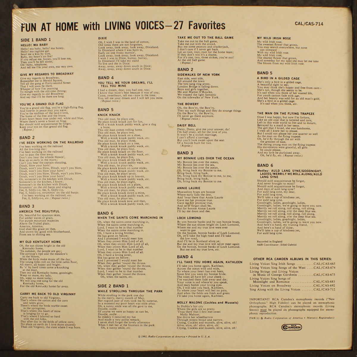 song fest fun at home by LIVING VOICES