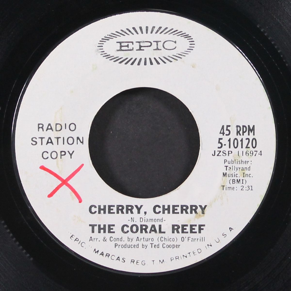 cherry, cherry / pretty flamingo by CORAL REEF
