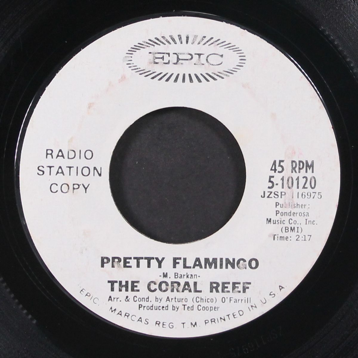 cherry, cherry / pretty flamingo by CORAL REEF