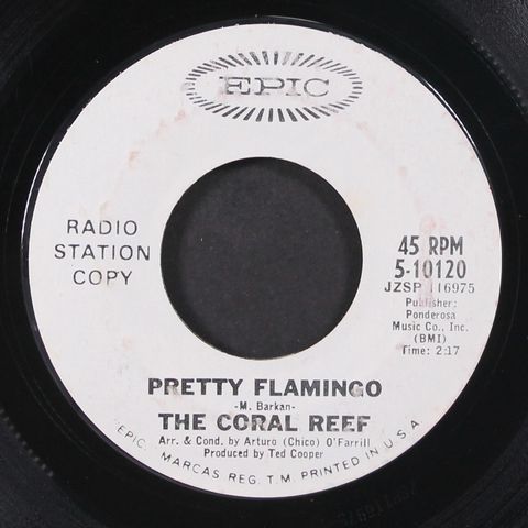 CORAL REEF