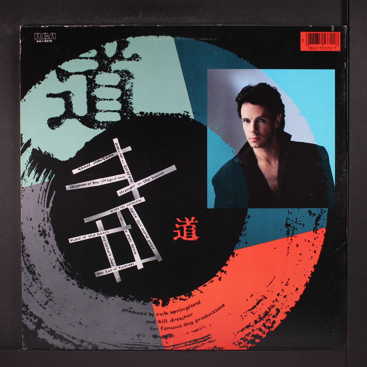 tao by RICK SPRINGFIELD