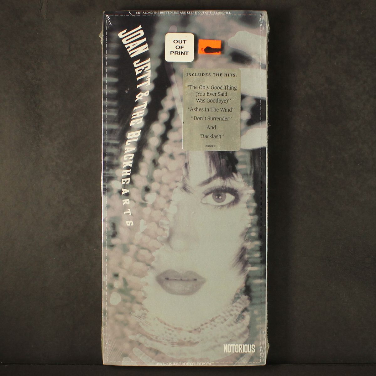 notorious by JOAN JETT