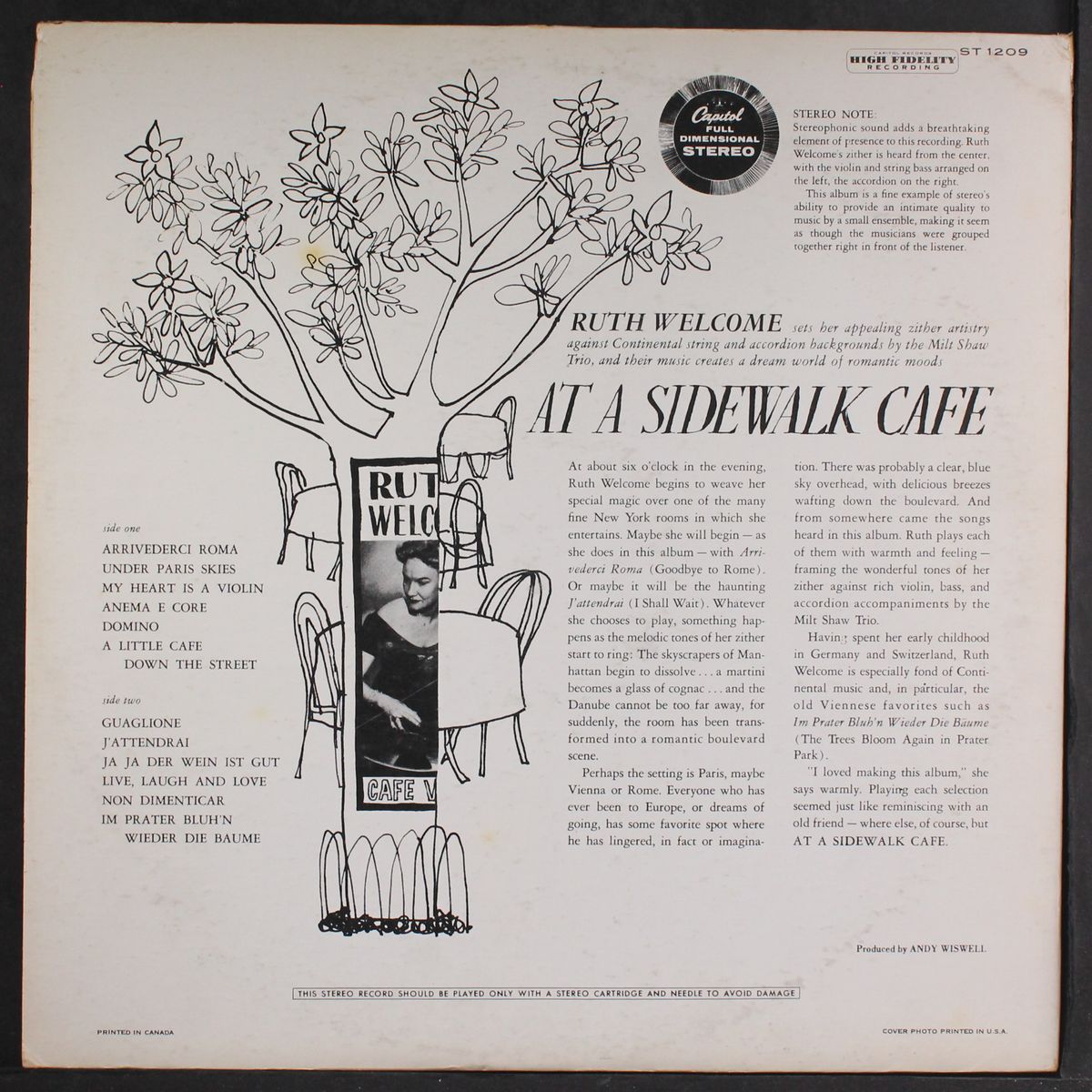 at a sidewalk cafe by RUTH WELCOME