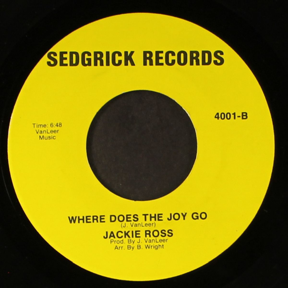 where does the joy go by JACKIE ROSS