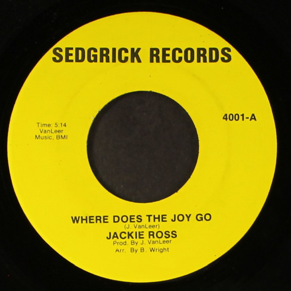 where does the joy go by JACKIE ROSS
