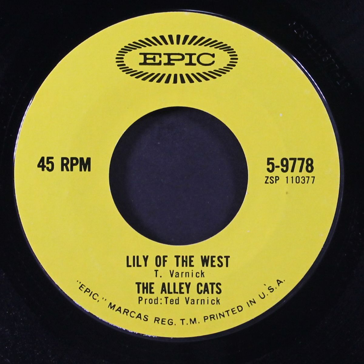 lily of the west / i should have stayed at home tonight by ALLEY CATS