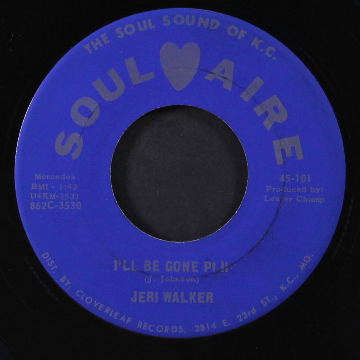 i'll be gone / part 2 by JERI WALKER
