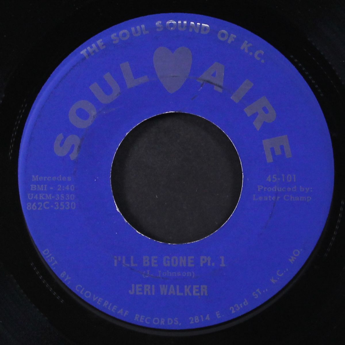 i'll be gone / part 2 by JERI WALKER