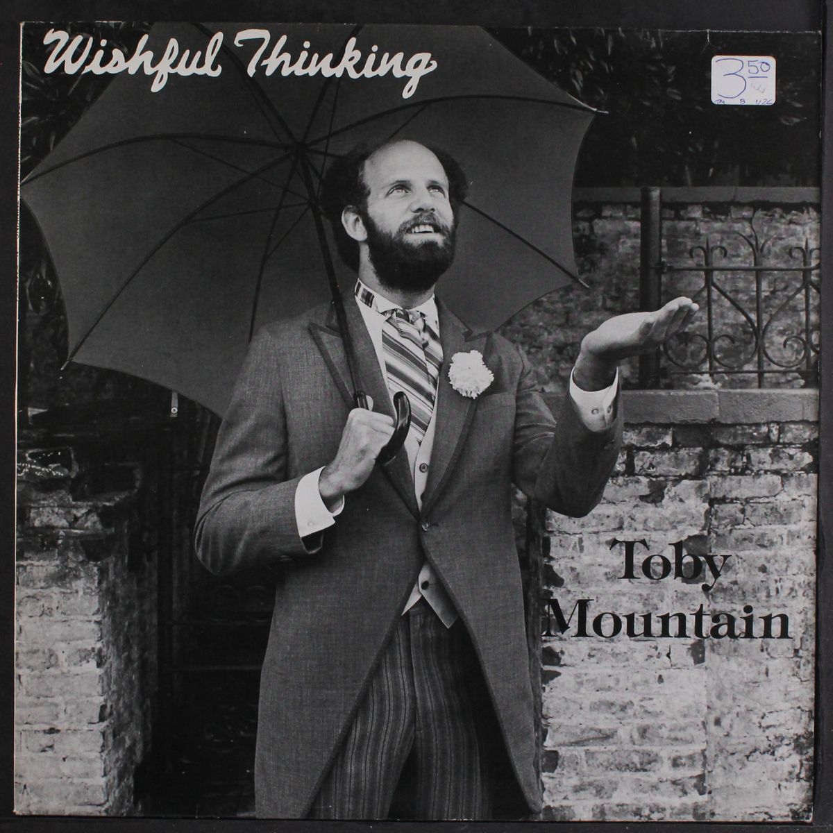 wishful thinking by TOBY MOUNTAIN
