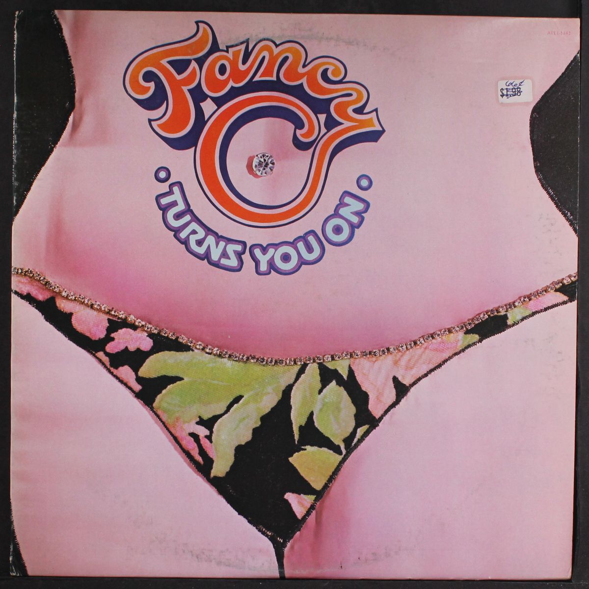 turns you on by FANCY