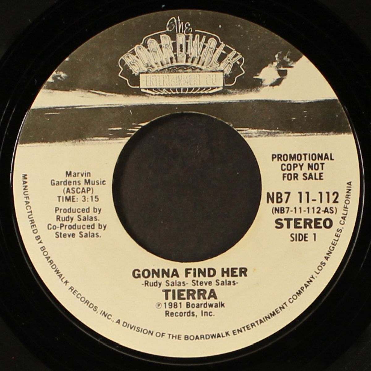 gonna find her / mono by TIERRA