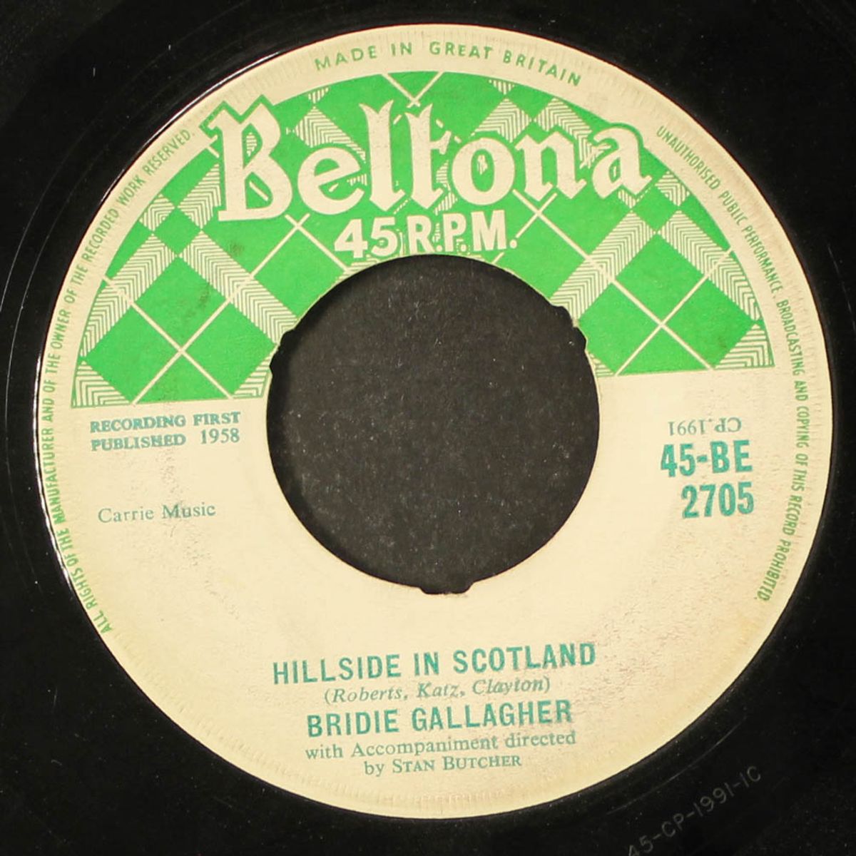 hillside in scotland by BRIDIE GALLAGHER