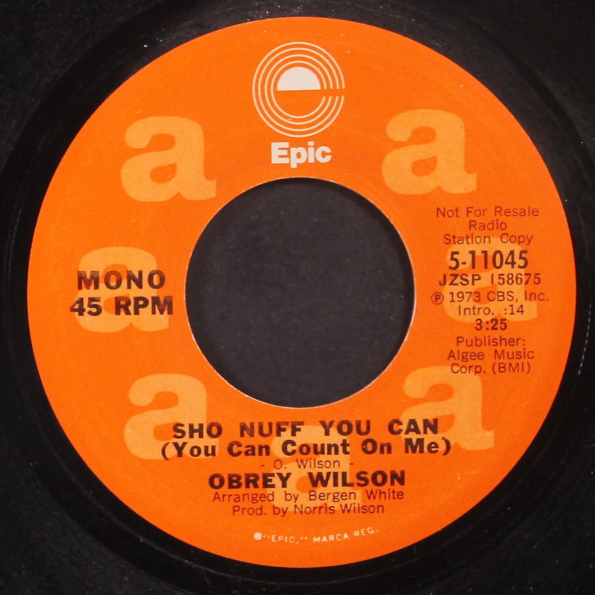 sho nuff you can / mono by OBREY WILSON