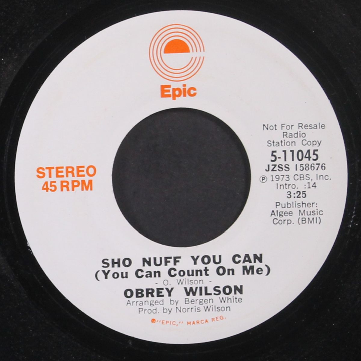 sho nuff you can / mono by OBREY WILSON