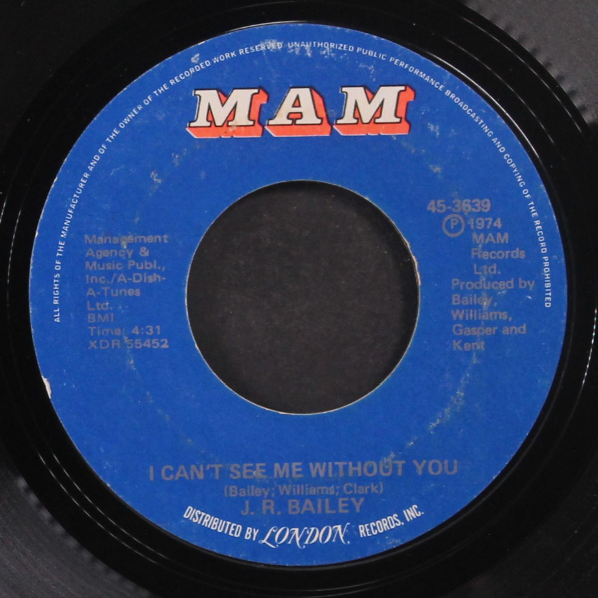 everything i want i see in you / i can't see me without you by J.R. BAILEY