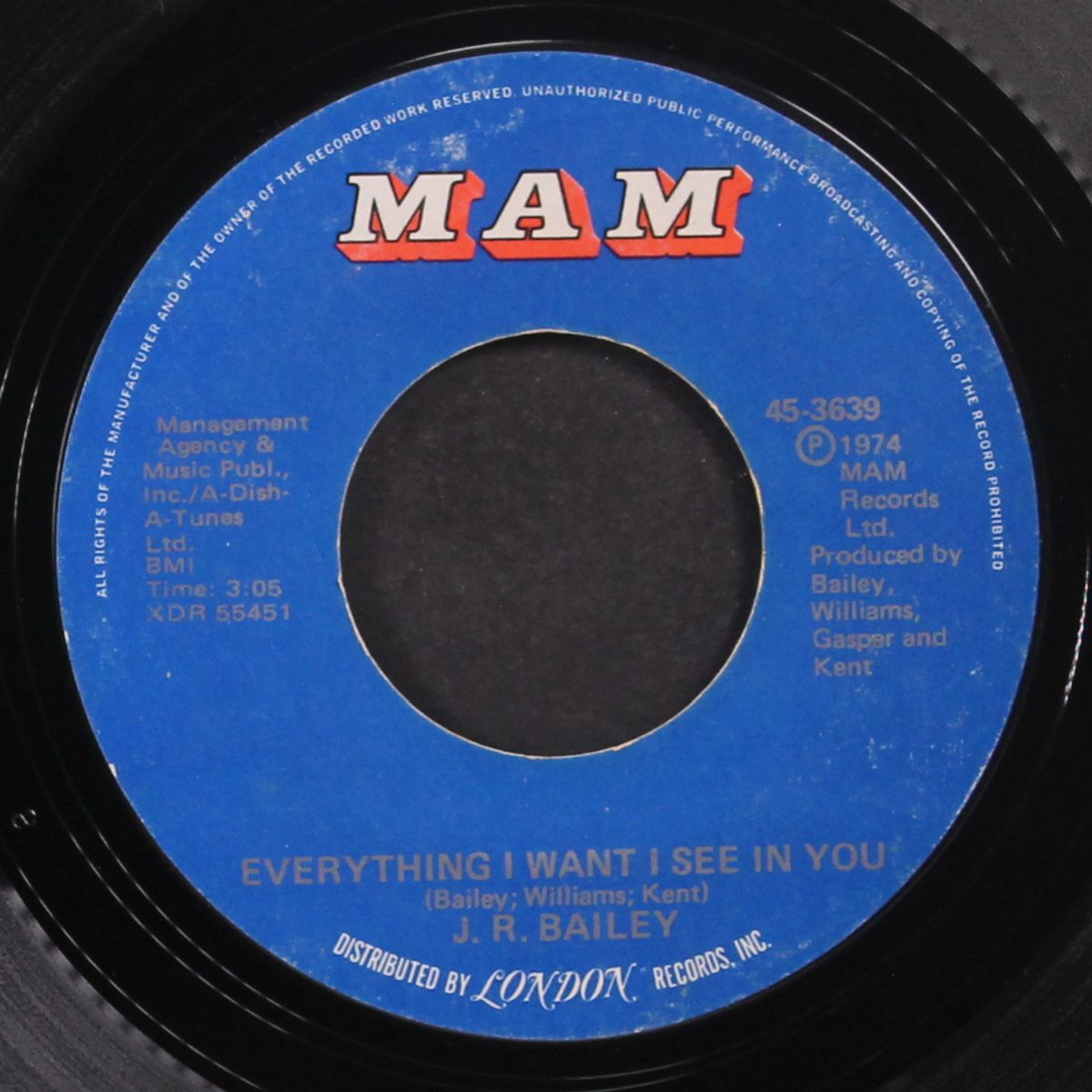 everything i want i see in you / i can't see me without you by J.R. BAILEY