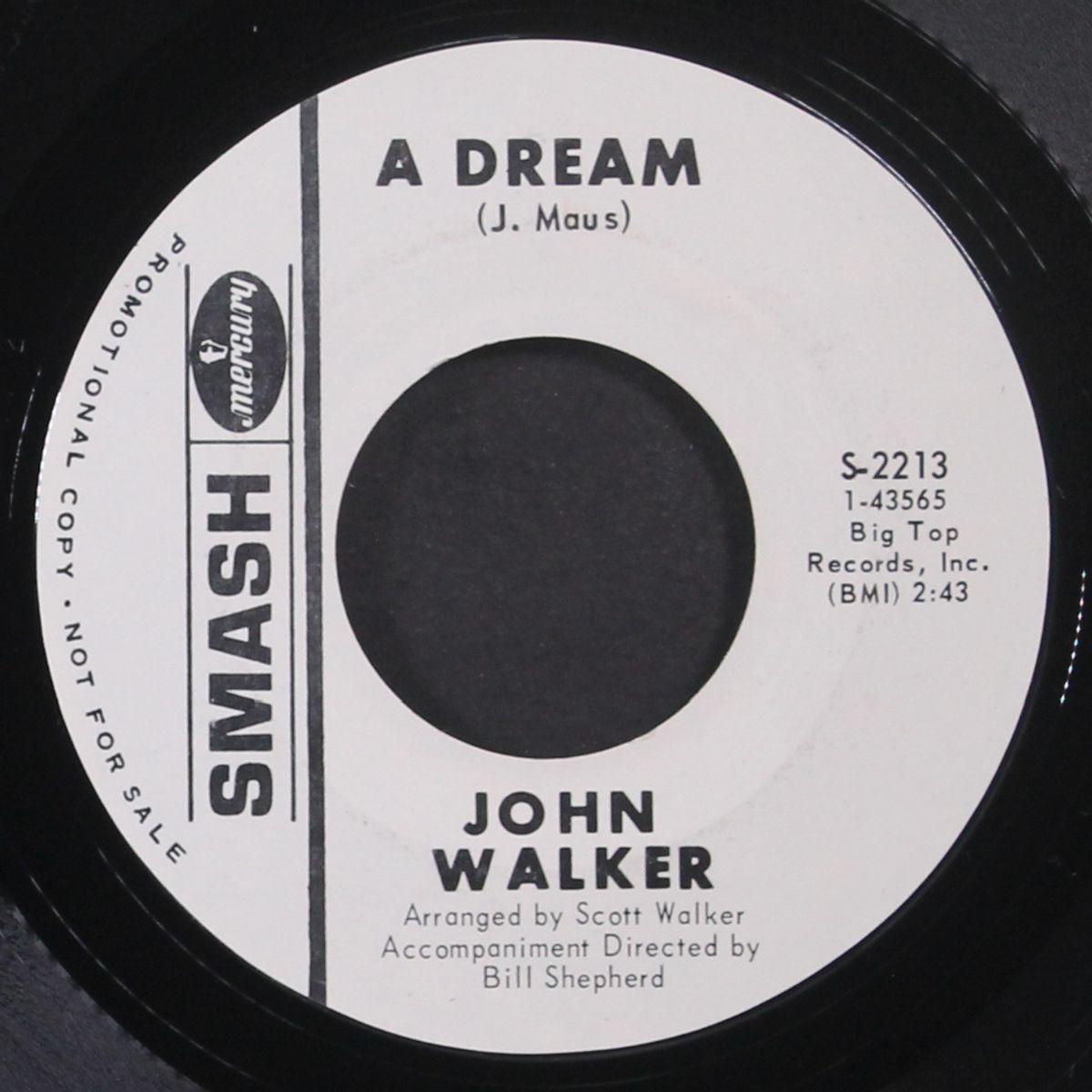 woman / a dream by JOHN WALKER
