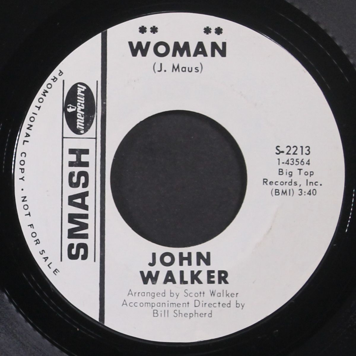 woman / a dream by JOHN WALKER