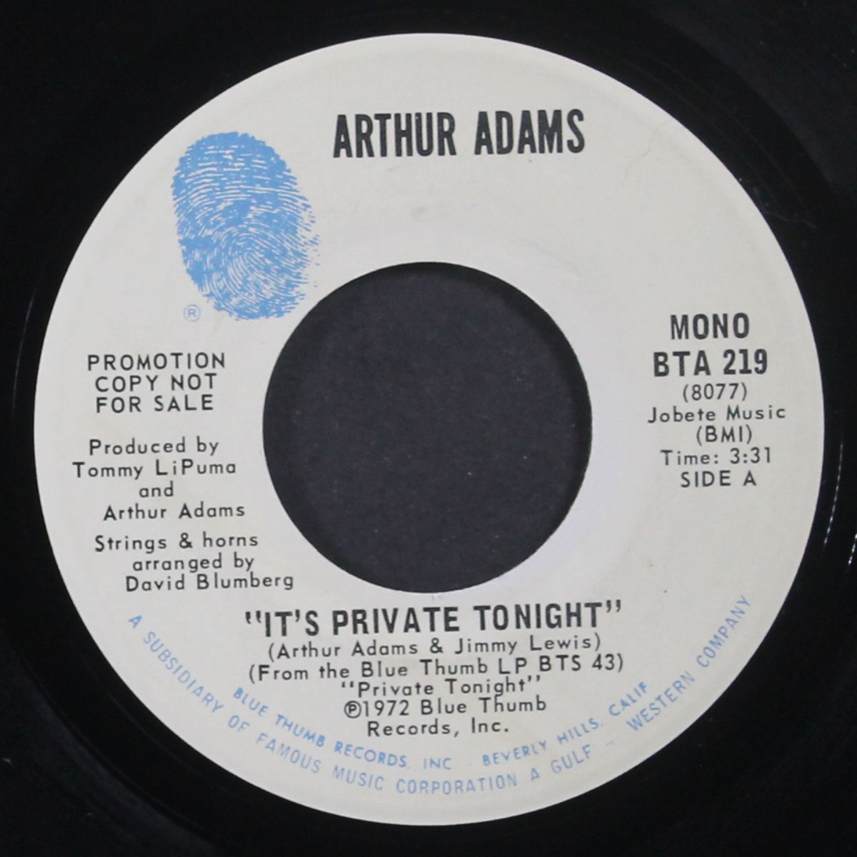 it's private tonight / mono by ARTHUR ADAMS
