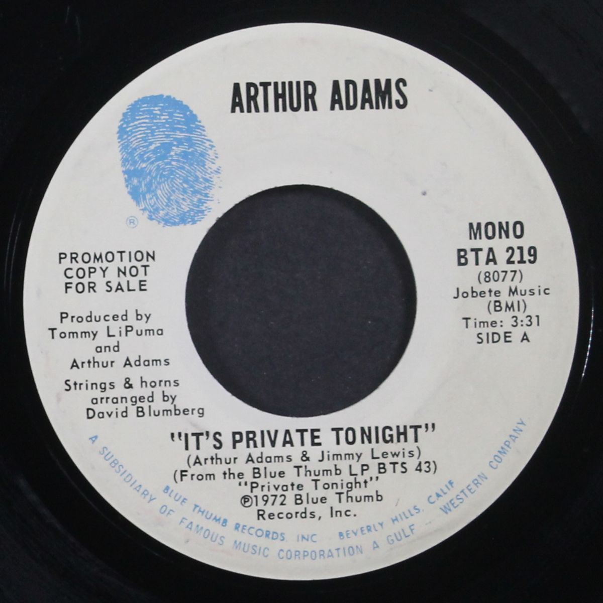 it's private tonight / mono by ARTHUR ADAMS
