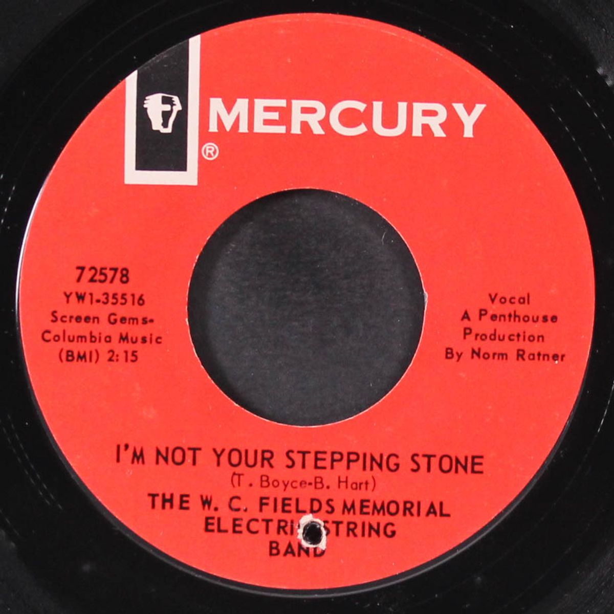 i'm not your stepping stone / round world by W.C. FIELDS MEMORIAL ELECTRIC STRING BAN