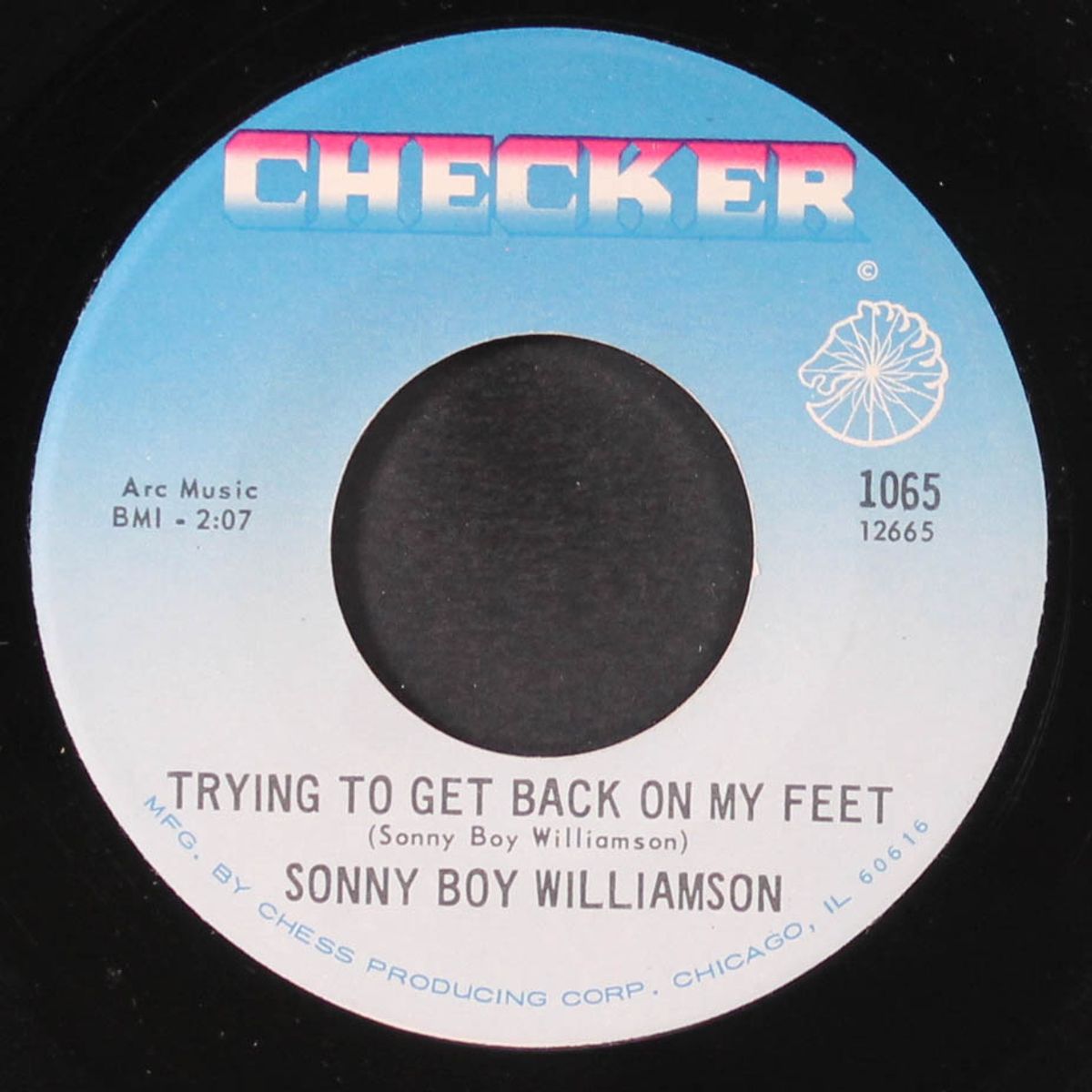 trying to get back on my feet / decoration day by SONNY BOY WILLIAMSON