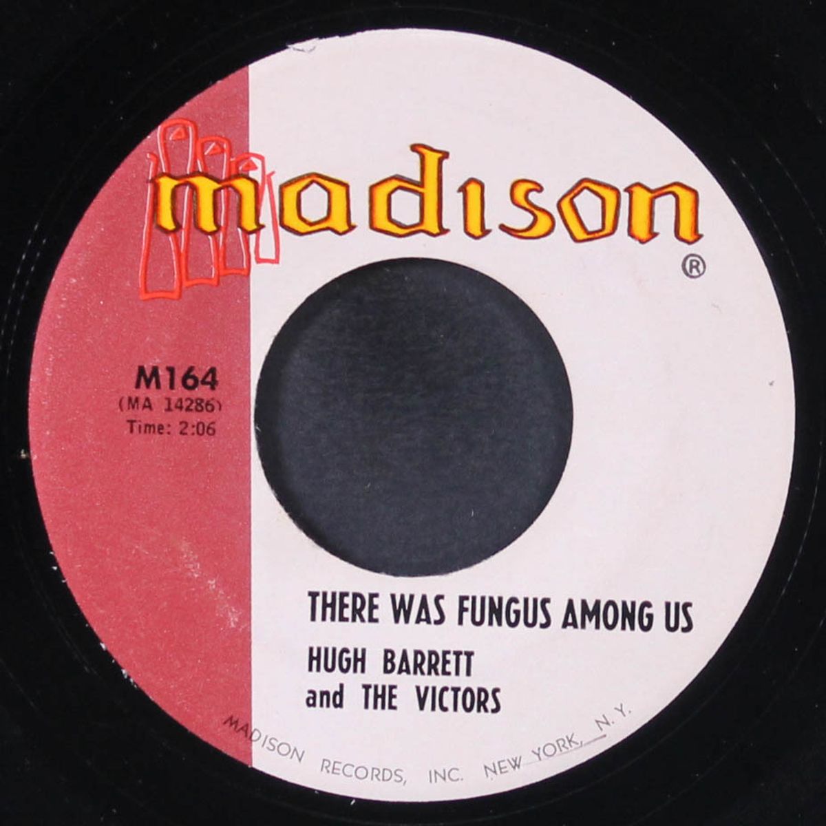 got the bull by the horns / there was a fungus among us by HUGH BARRETT