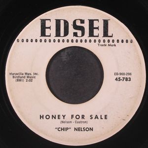CHIP NELSON