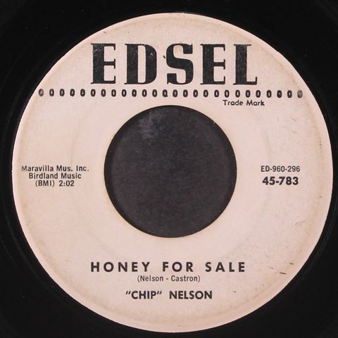 CHIP NELSON
