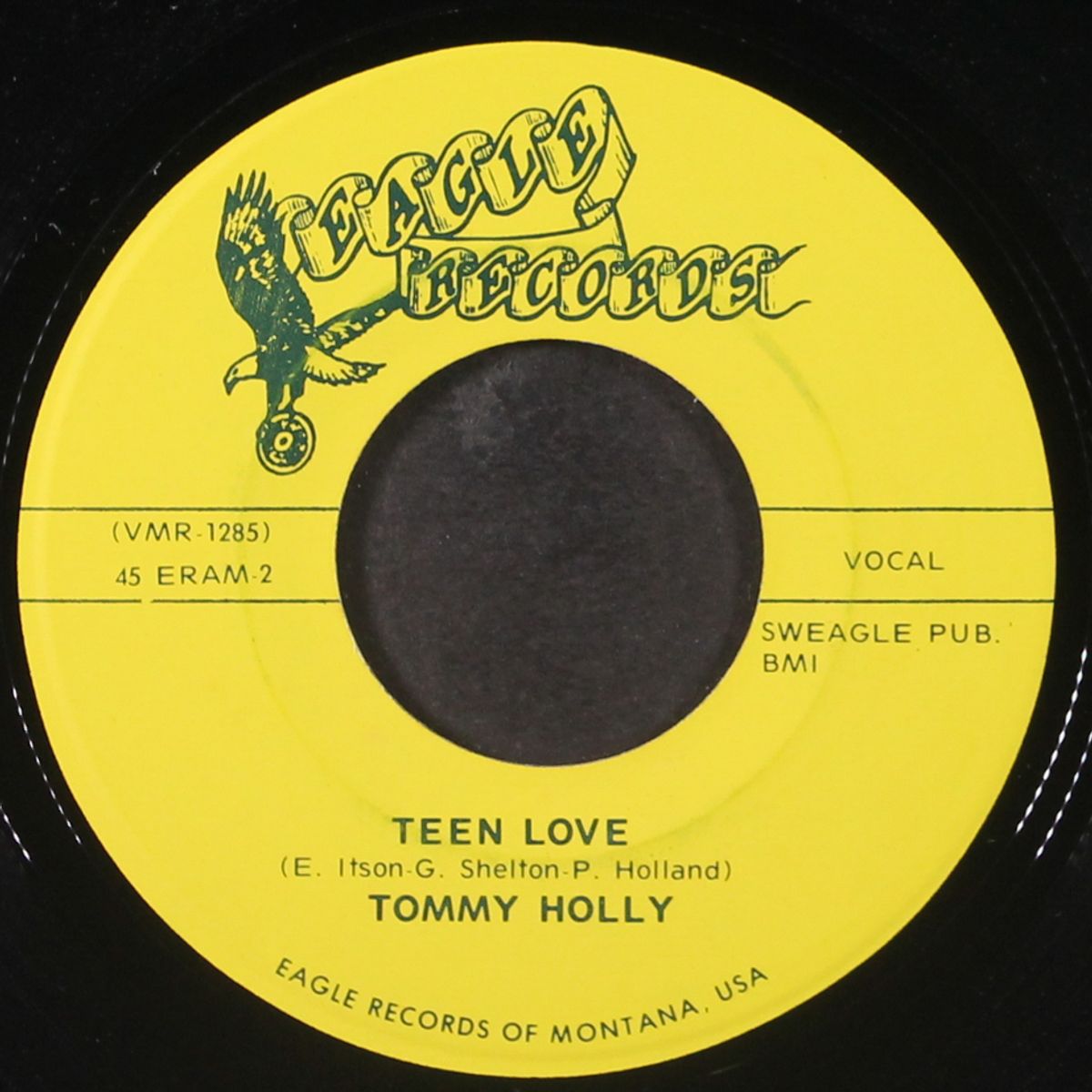 a song about elvis / teen love by TOMMY HOLLY