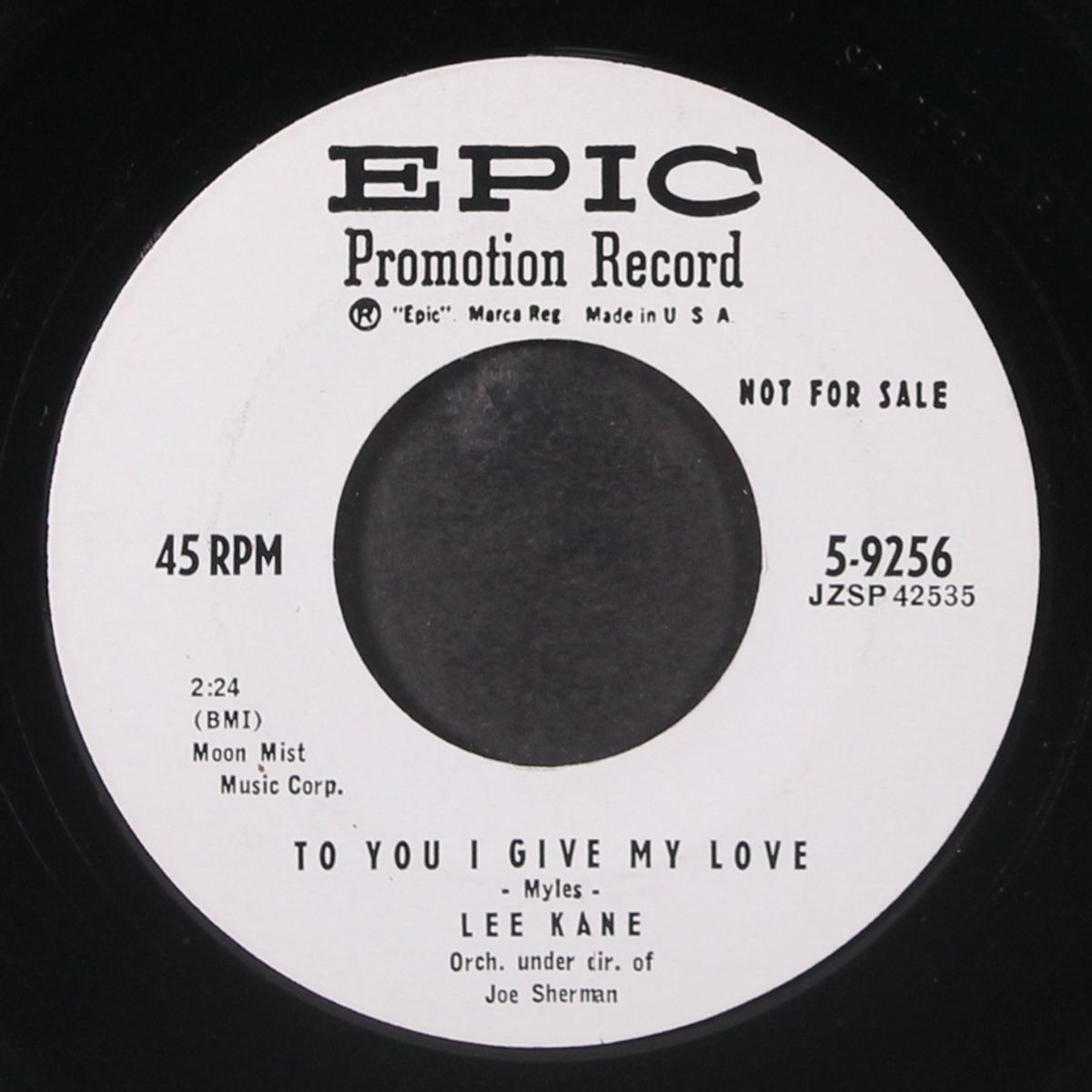 to you i give my love by LEE KANE
