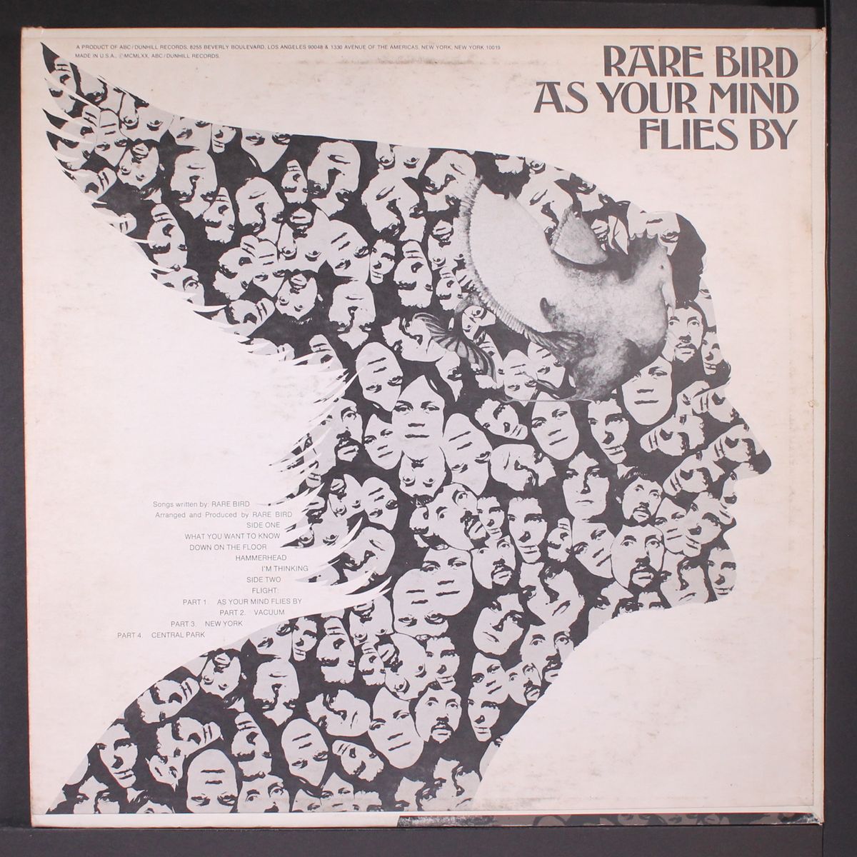 as your mind flies by by RARE BIRD