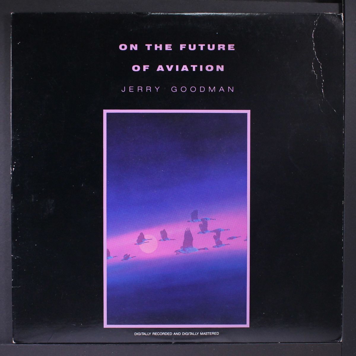 on the future of aviation by JERRY GOODMAN